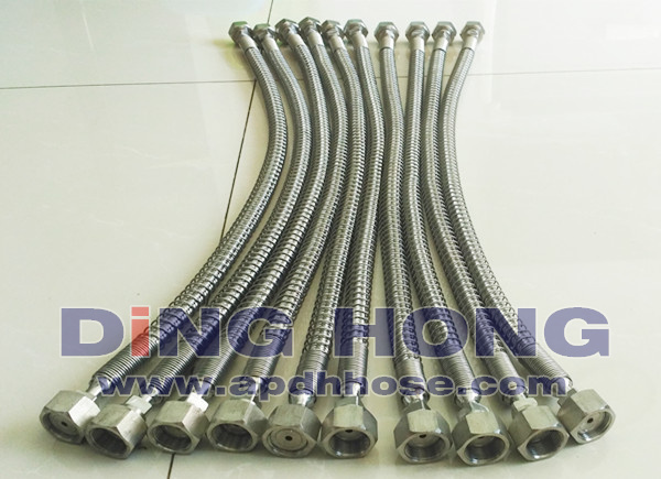 Stainless flexible gas hose